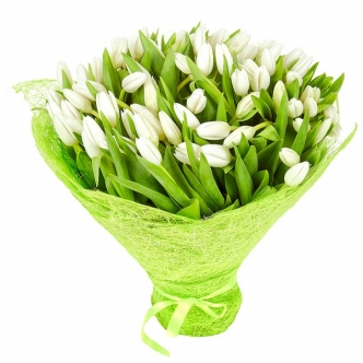 белые тюльпаны в упаковке